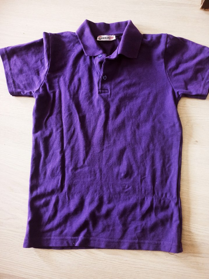 Erkek Çocuk Mor Polo Tişört - Görsel 2