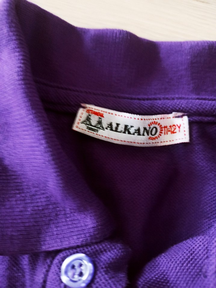 Erkek Çocuk Mor Polo Tişört - Görsel 5