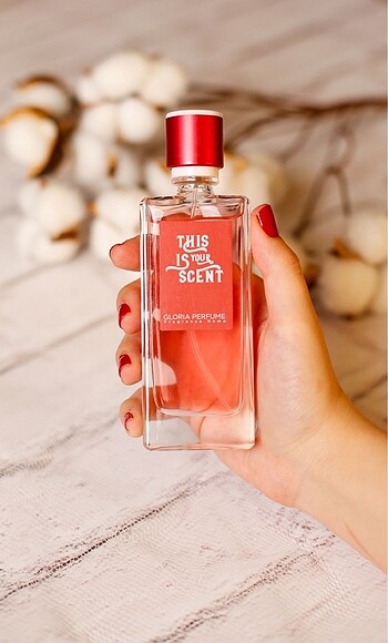 GLORIA PERFUME NARCISO RODRIGUEZ PINK 55 ML
