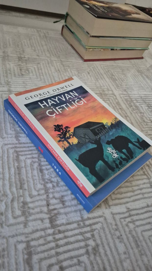 George Orwell 2'li Roman Seti - Görsel 2