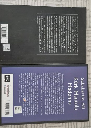 Sabahattin Ali Romanları: Kuyucaklı Yusuf & Kürk Mantolu Madonna - Görsel 2