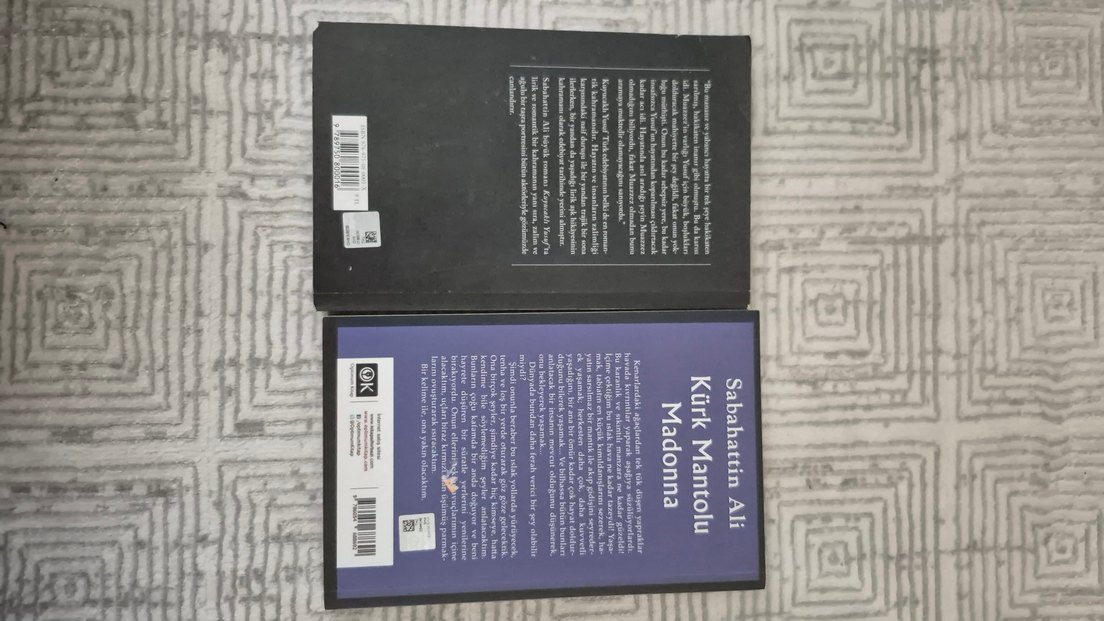 Sabahattin Ali Romanları: Kuyucaklı Yusuf & Kürk Mantolu Madonna - Görsel 2