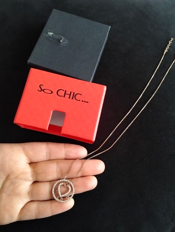 So chic Kadın Parıltılı Kalp Detaylı Zincir Kolye Gümüş - Görsel 2