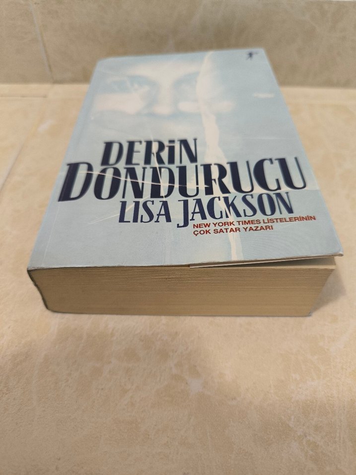 Derin Dondurucu - Lisa Jackson - Görsel 2