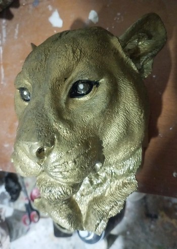 Kahverengi puma duvara asmalık. Vernikle parlaklığı artırılmı - Görsel 3