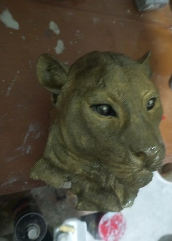 Kahverengi puma duvara asmalık. Vernikle parlaklığı artırılmı - Görsel 2