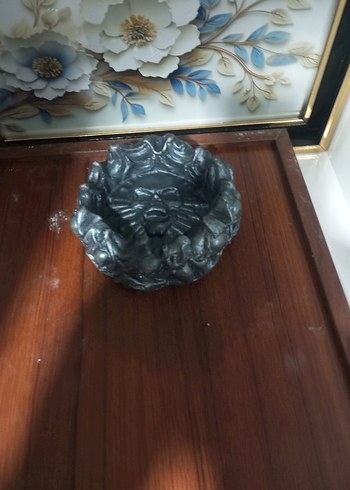 Gri Kuru Kafalı küllük - Görsel 2