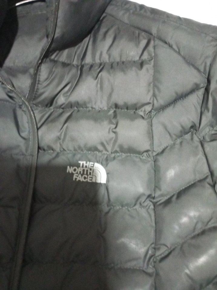 The North Face Siyah Erkek Mont - Görsel 3