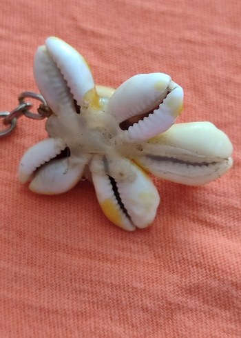 Deniz kabuğu  Kaplumbağa  Anahtarlık - Görsel 5