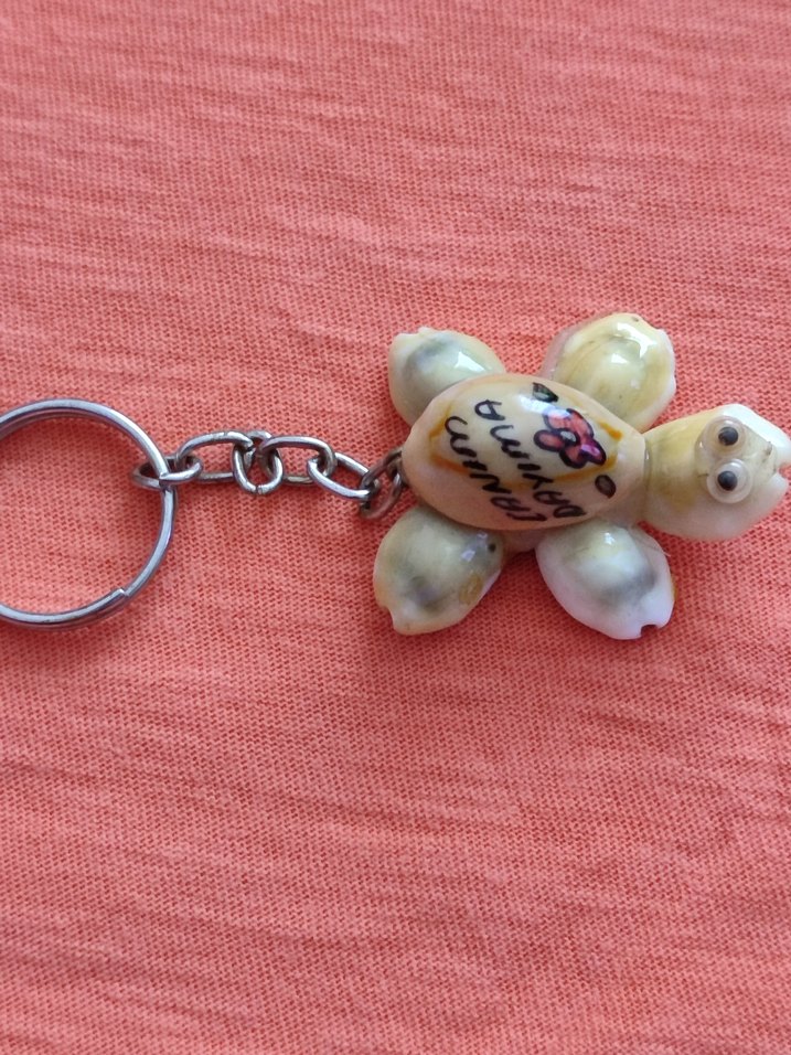 Deniz kabuğu  Kaplumbağa  Anahtarlık - Görsel 2