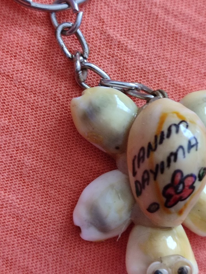 Deniz kabuğu  Kaplumbağa  Anahtarlık - Görsel 3