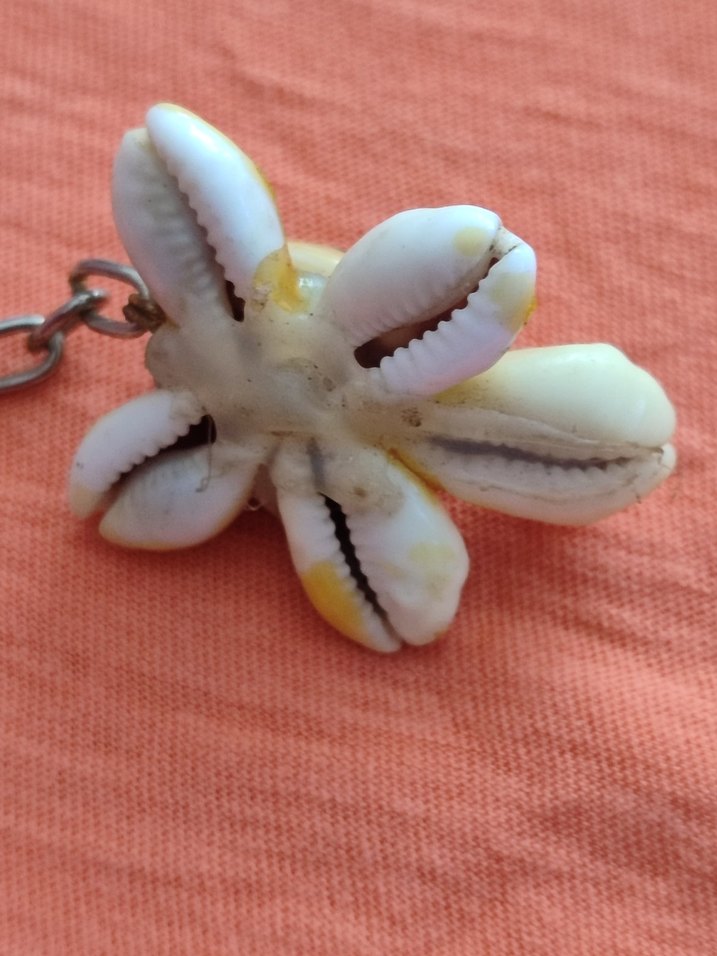 Deniz kabuğu  Kaplumbağa  Anahtarlık - Görsel 5