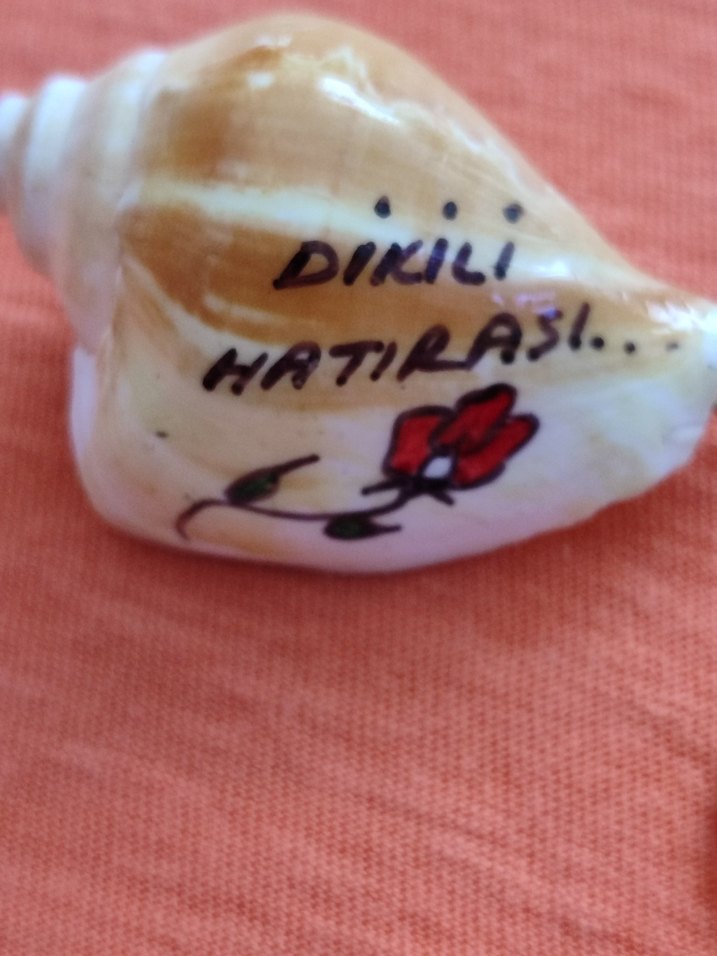 Deniz Kabuğu Anahtarlık - Görsel 2