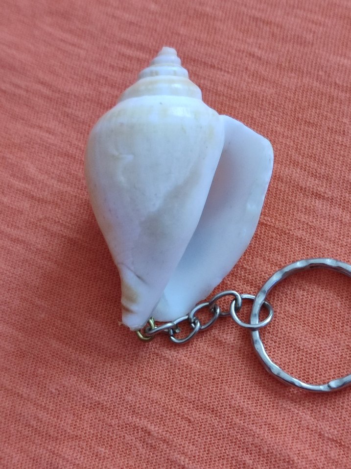 Deniz Kabuğu Anahtarlık - Görsel 3