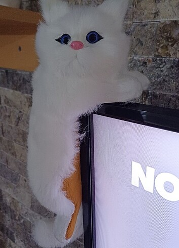 Kedi simulasyon