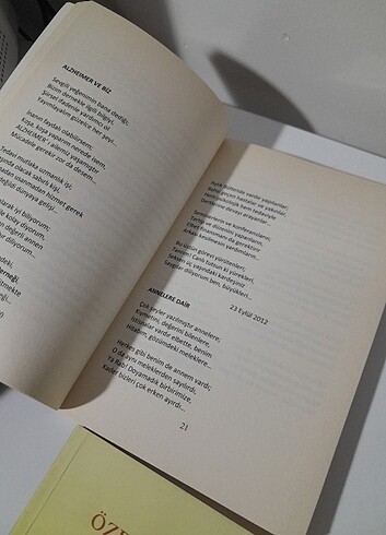 Şiir kitabı - Görsel 8