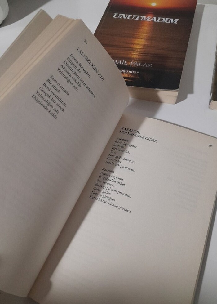 Şiir kitabı - Görsel 3