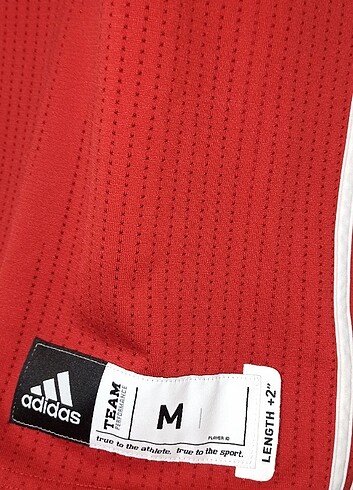 m Beden kırmızı Renk Milli Takım Euro Basketbol Forması