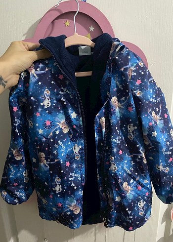 Walt Disney World 24-36 Ay