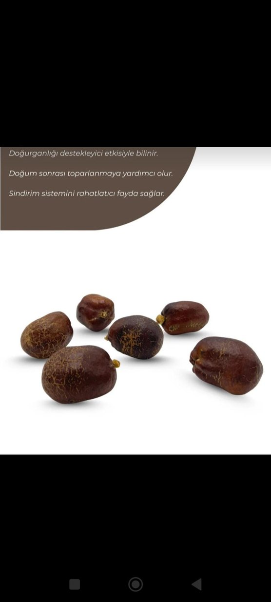 adem elmasi,zurriyet elması - Görsel 2