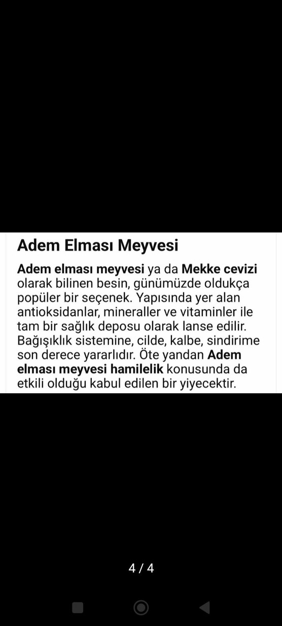 adem elmasi,zurriyet elması - Görsel 3