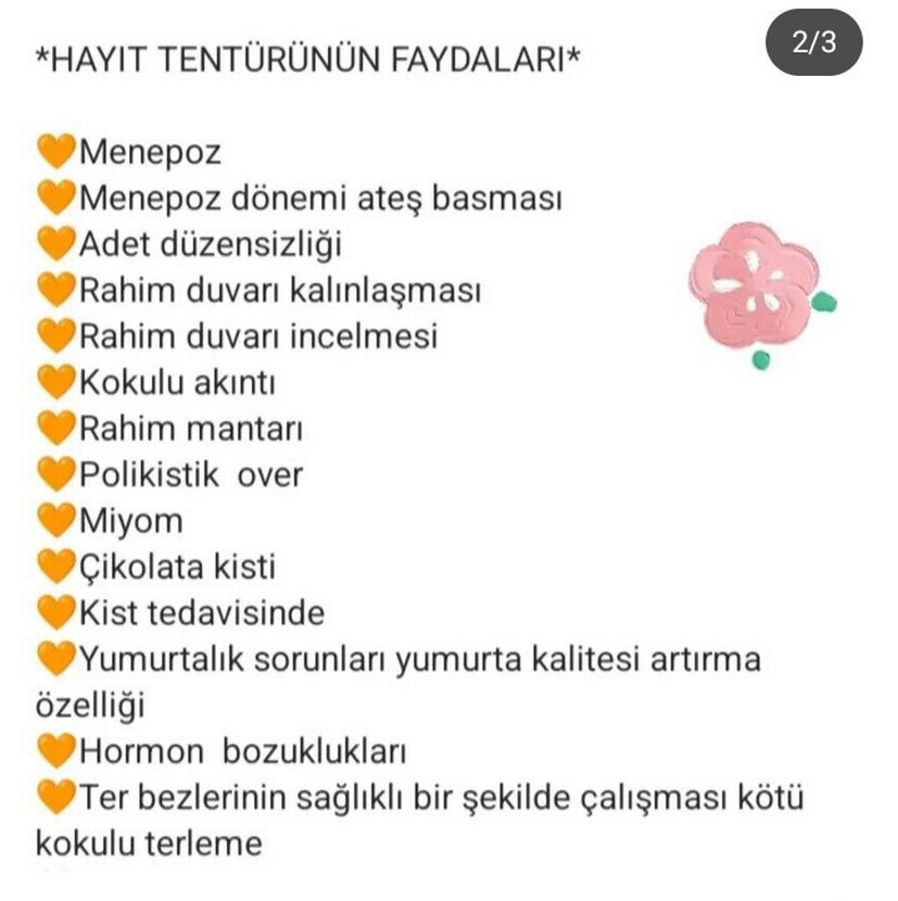 Kadınlar için Hayıt Tentürü 250 ml Cam Şişe - Görsel 2