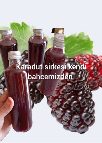 Karadut Sirkesi 250 ml