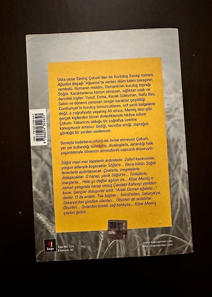 Ağustos Başağı-Sevinç Çokum - Görsel 2