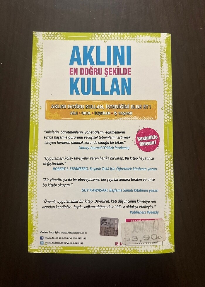 Aklını En Doğru Şekilde Kullan- Dr Carol S Dweck - Görsel 2