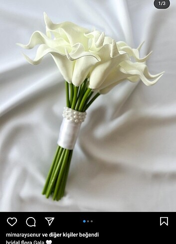 Gala buketi - Görsel 2