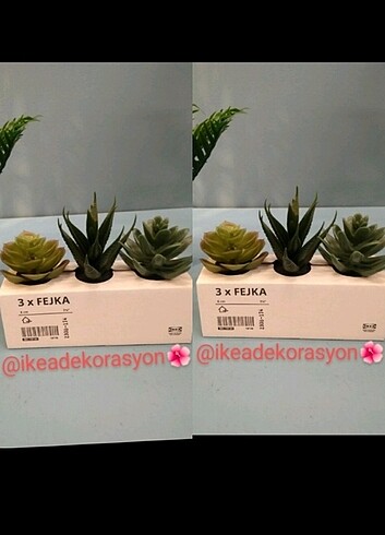 Ikea yapay KAKTÜS ,2 paket ,6 adet ????