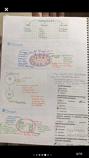  Beden Tıp kitabı. Tıp 1. Ve 2. Sınıf için öğrenci notu üreme organelle