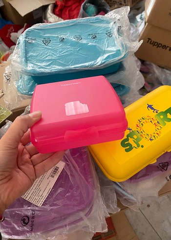 Renkli Tupperware Plastik Saklama Kutusu