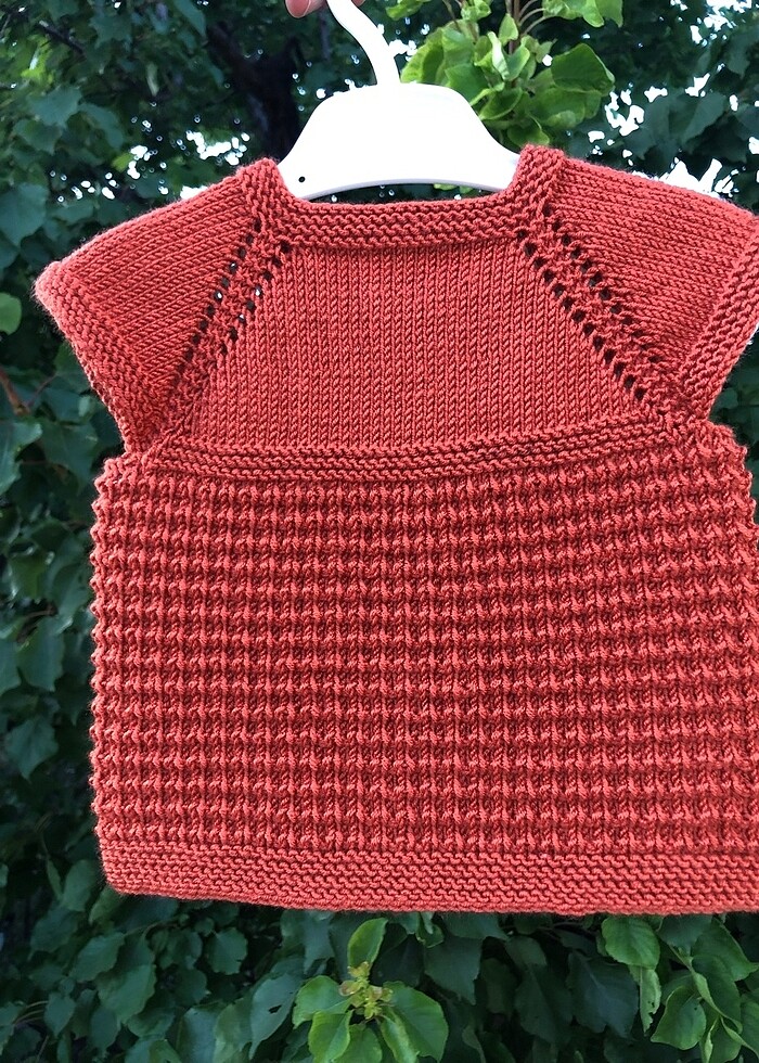 3-6 aylık erkek bebek yelek - Görsel 2