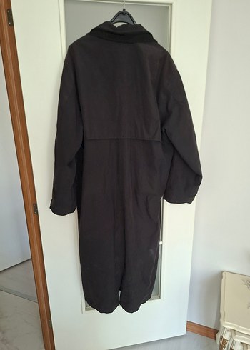 erkek pardüse - Görsel 6