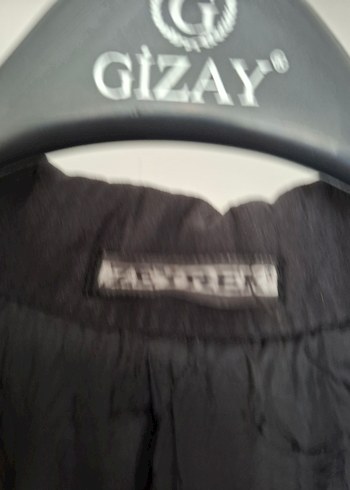 erkek pardüse - Görsel 4