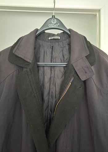 erkek pardüse - Görsel 3