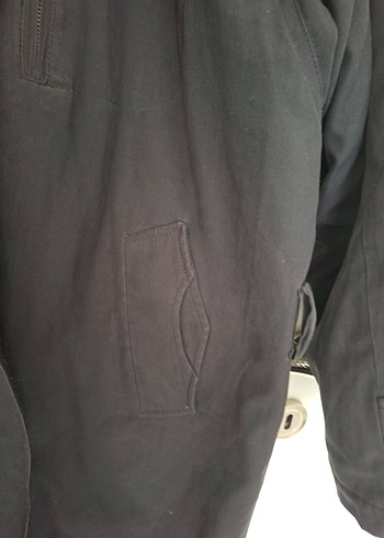 erkek pardüse - Görsel 2