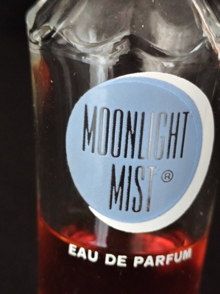 Helena Rubinstein Moonlight Mist Kadın Parfümü - Görsel 2