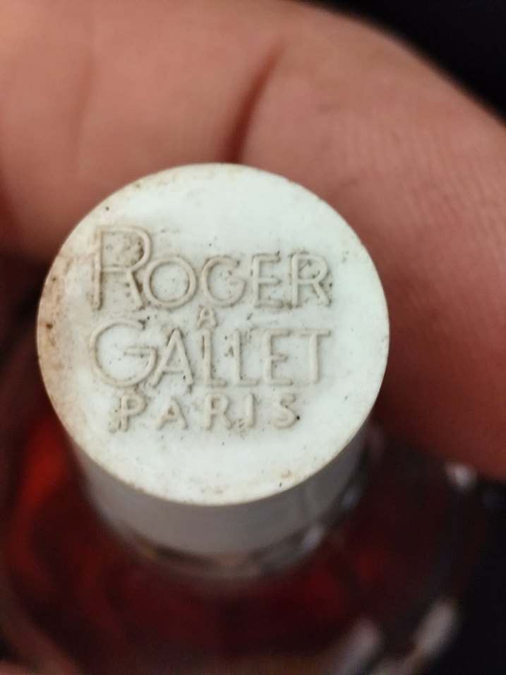 Helena Rubinstein Moonlight Mist Kadın Parfümü - Görsel 5