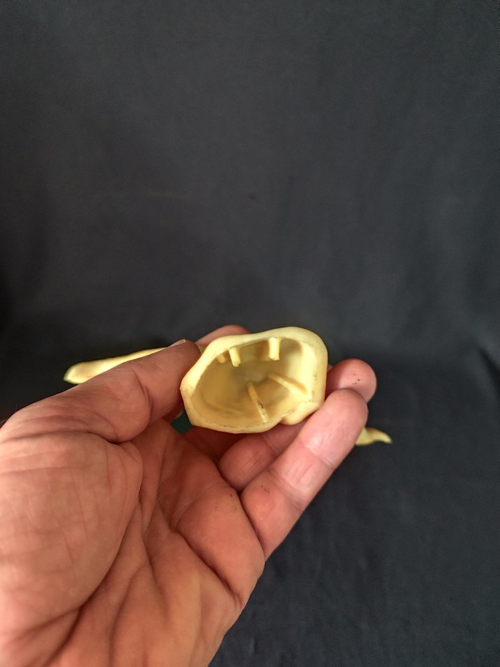 BALIKESİR GİZLİ CİCEK KOLONYALARI ETİKETLİ KONYA MEVLANA MEVLEVİ - Görsel 4