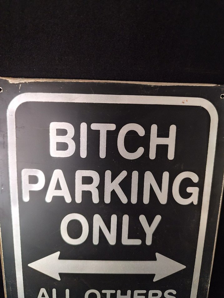 Sadece Bitch Park Yeri Metal Tabela - Görsel 2