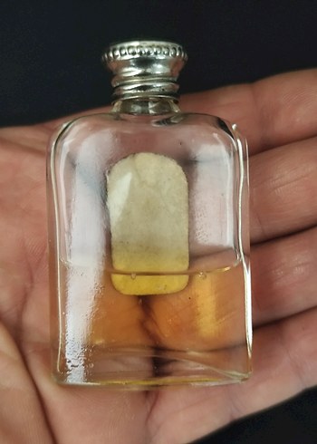 LYRTA A.Picard PARIS - Görsel 5