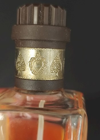 MOSCHINO POUR HOMME VICE VERSA eau de toilette 100ml - Görsel 4