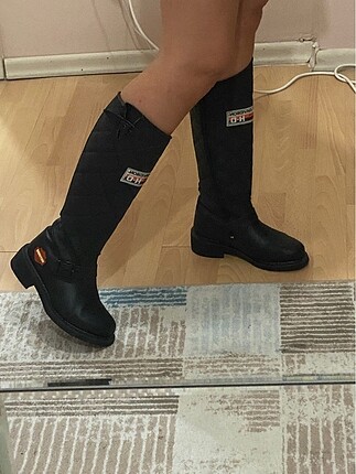 Harley davidson