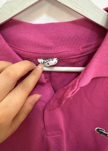 m Beden Kadın Lacoste Polo Tişört