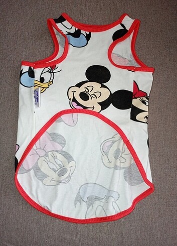 Kedi kıyafeti - Görsel 2