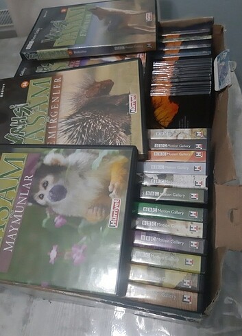  Beden Renk 25 ad vahşi yaşam cd 25 ad vahşi yaşam kitapcigi