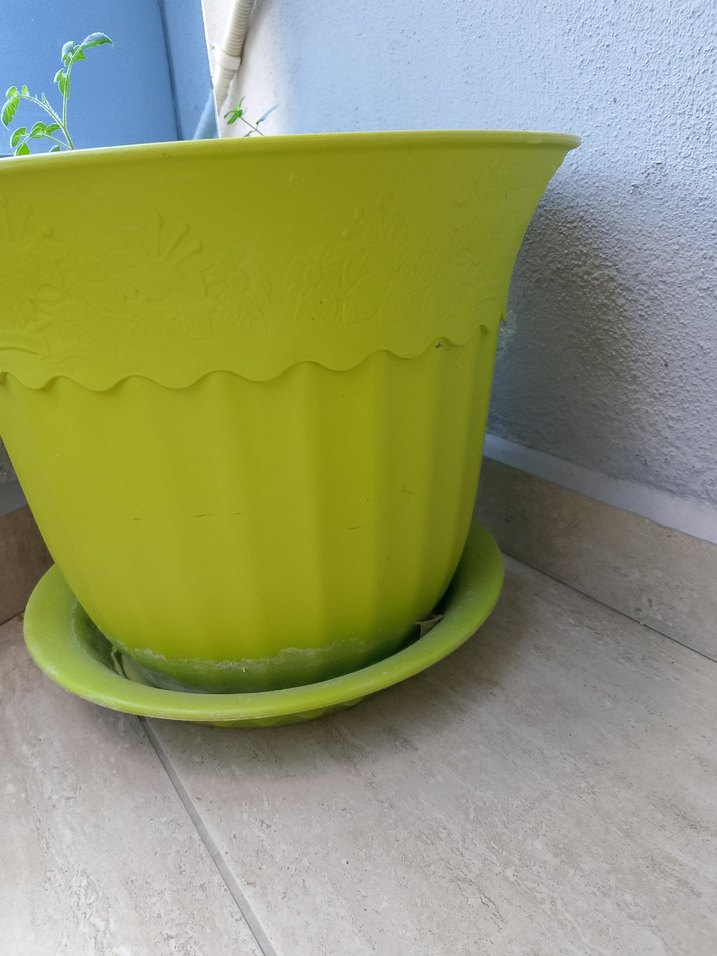 Yeşil Büyük Boy Saksı - Görsel 3