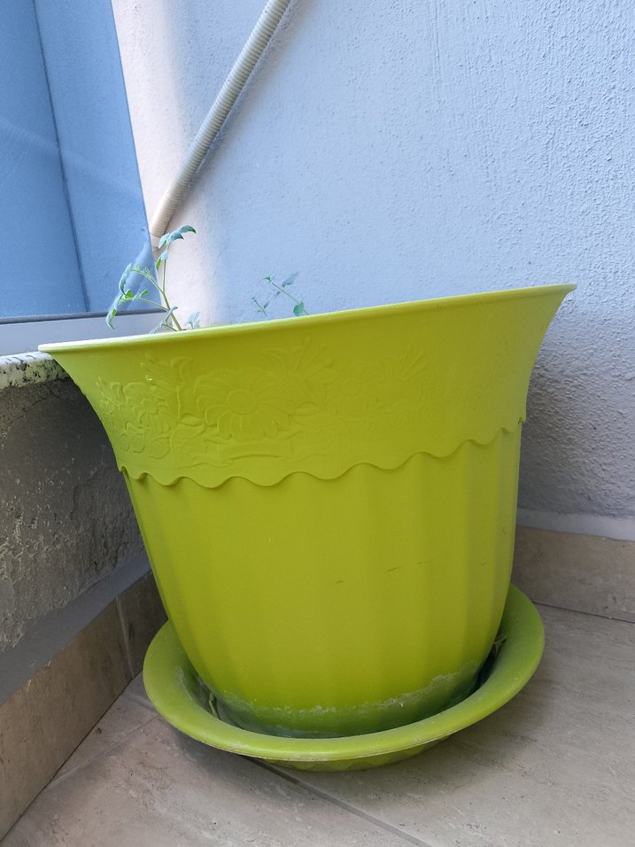 Yeşil Büyük Boy Saksı - Görsel 2